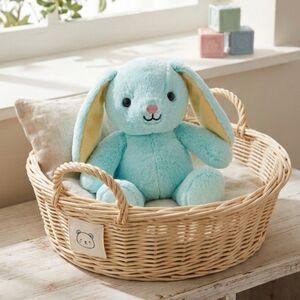Hallmark Plush WMT BUNNY
